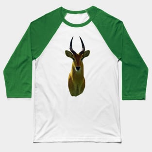 Antelope An Animal Portrait Baseball T-Shirt